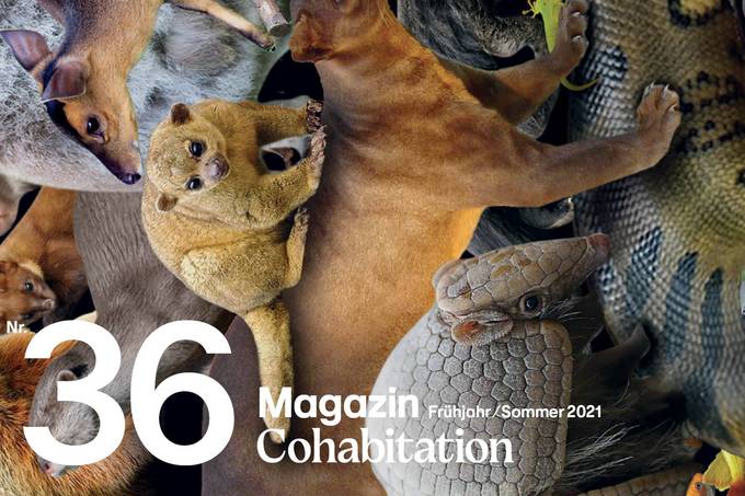 Fotocollage mit zahllosen Tieren und der Aufschrift "36 - Magazin Frühling/ Sommer 2021 - Cohabitation"